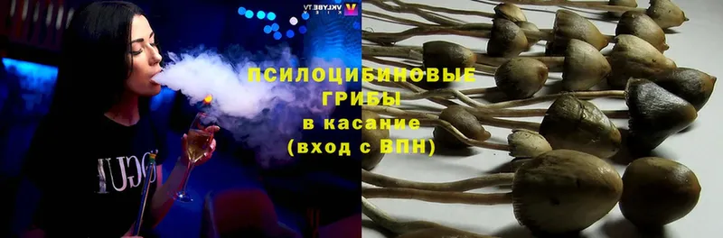 Галлюциногенные грибы Psilocybine cubensis  сколько стоит  Отрадный 